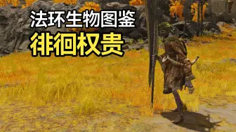 Download Video: 【法环生物图鉴】罗城作死王，狗急跳墙的苦逼老登——徘徊权贵