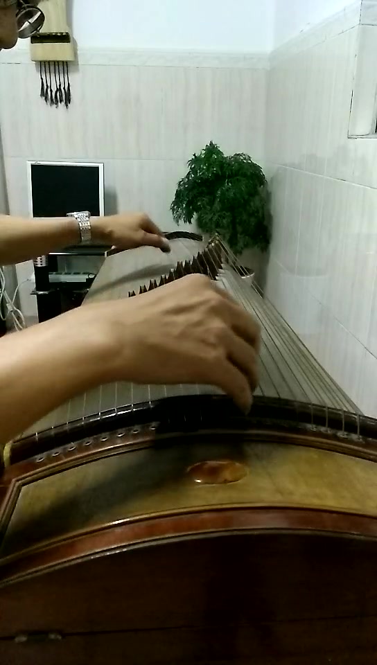 潮州筝曲画眉跳架钢丝筝f调