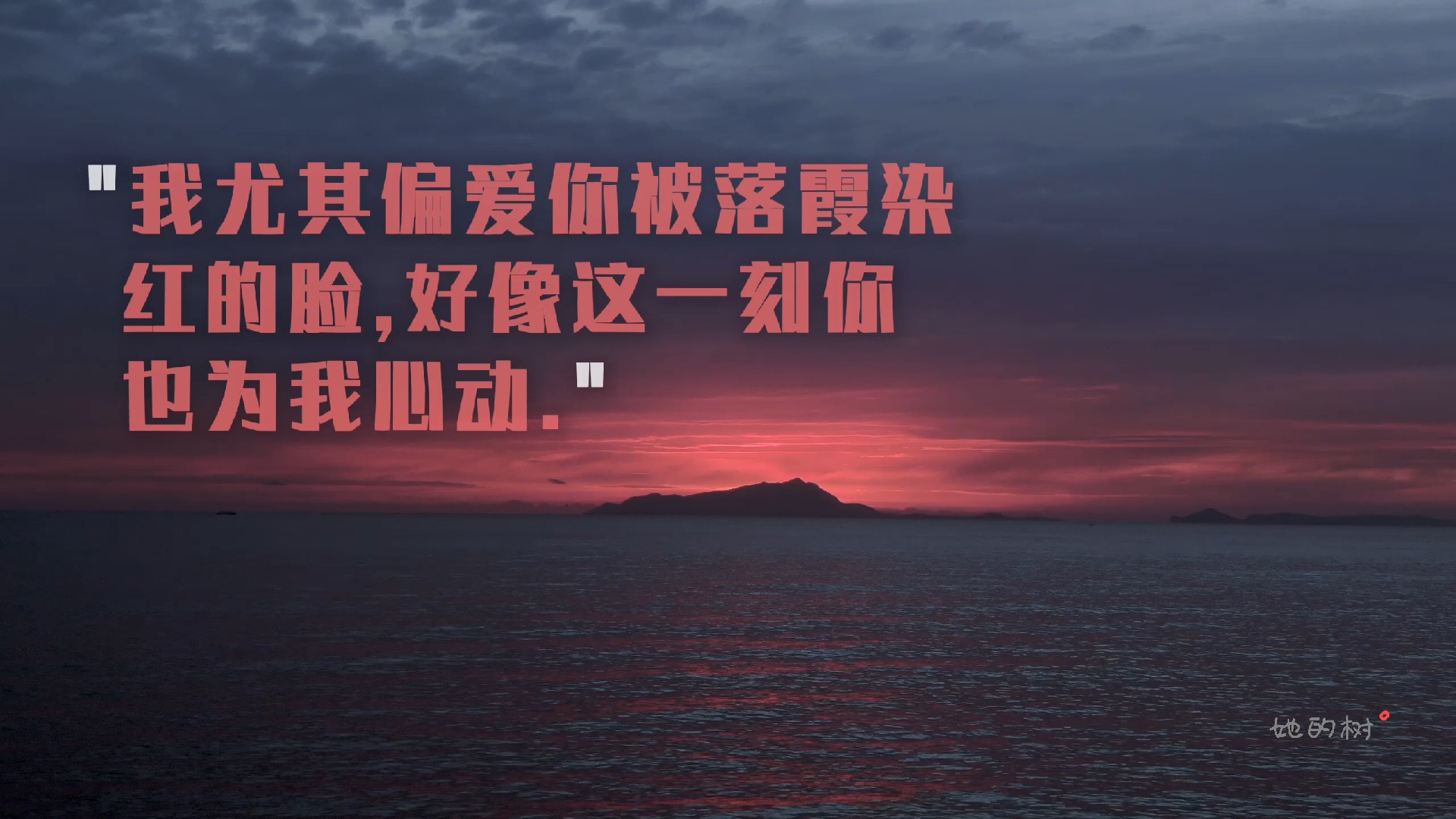 10秒文案|我尤其偏爱你被落霞染 红的脸,好像这一刻你 也为我心动.