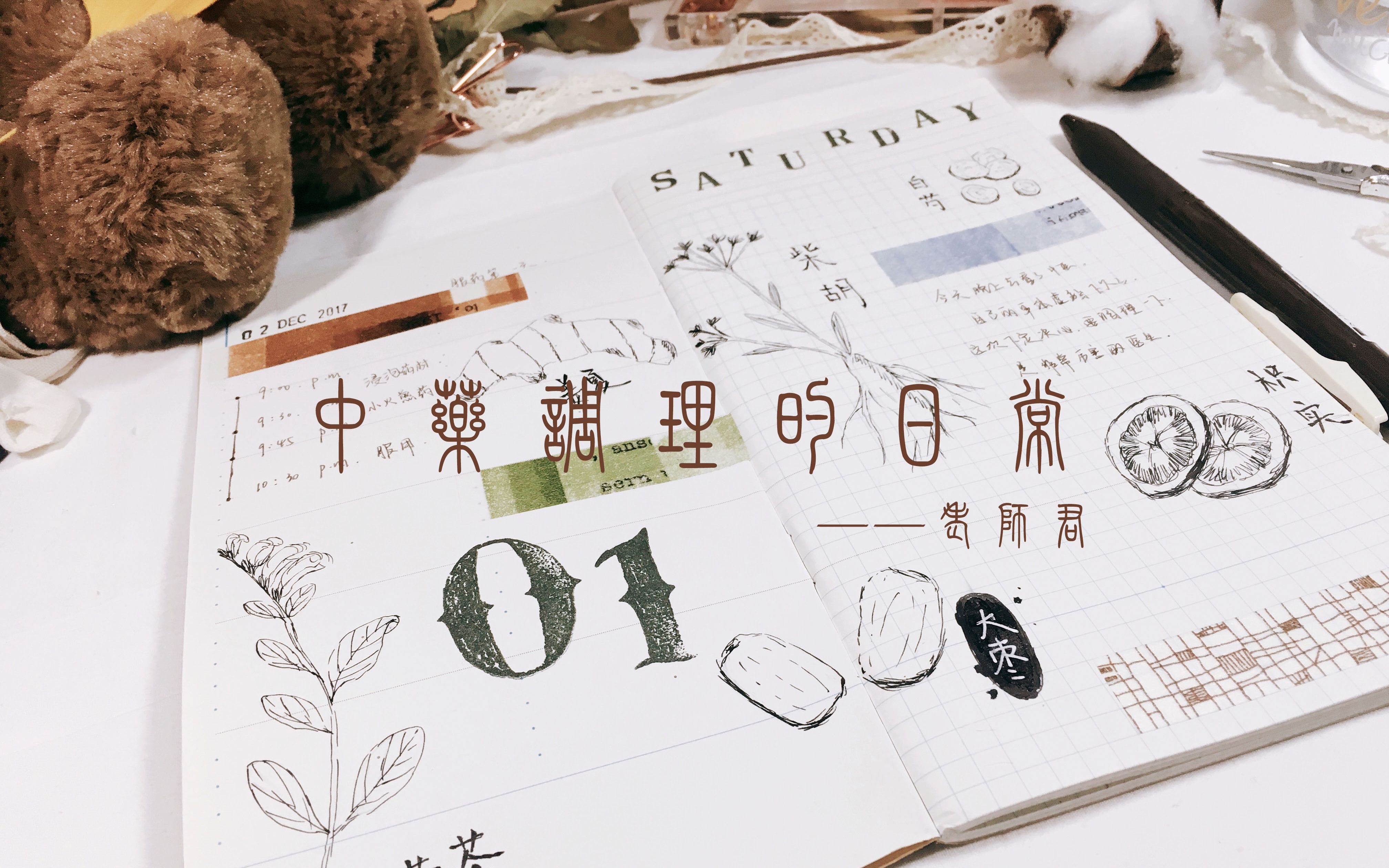 【老师君】//Journal With Me| —|TN中药调理一页手账#001简单的药材手绘哔哩哔哩bilibili