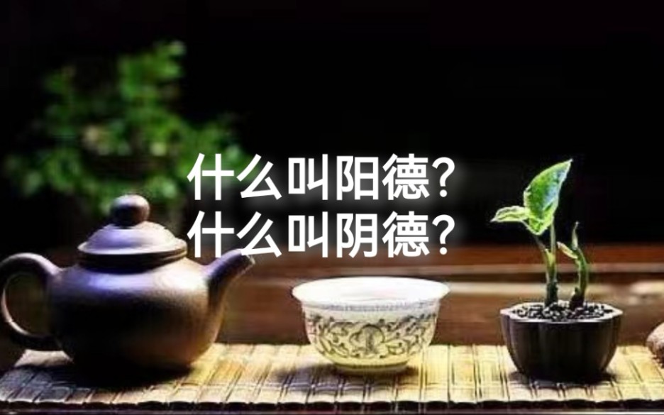 什么叫阴德?什么叫阳德?哔哩哔哩bilibili