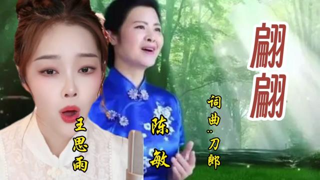 美女歌手王思雨与陈敏同唱刀郎歌曲《翩翩》你更喜欢谁的演唱?