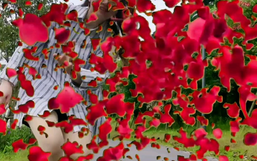 你必须要学会这个扔花成画花瓣飘向你那一刻感觉到浪漫了吗泼花成画