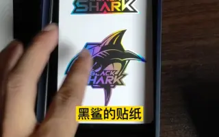哇喔～这就是传说中的黑鲨吗？