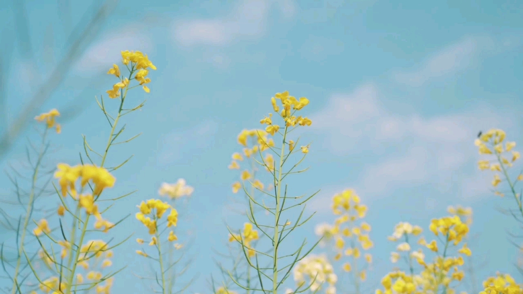 [图]成为你自己～当你学会独处《周国平》