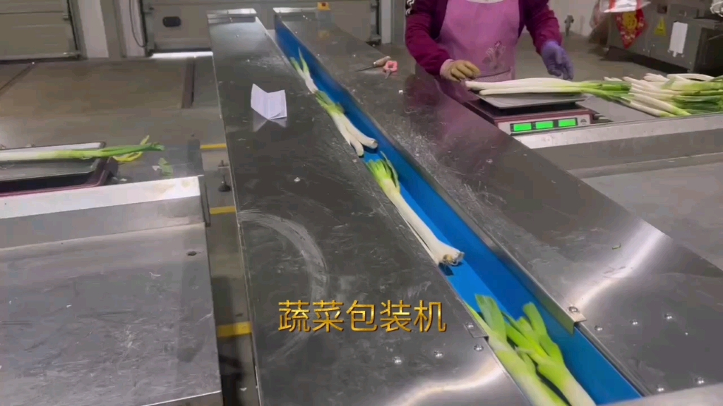大葱包装机械设备 迈德龙蔬菜包装机 自动装袋大葱机械伺服香葱包装机