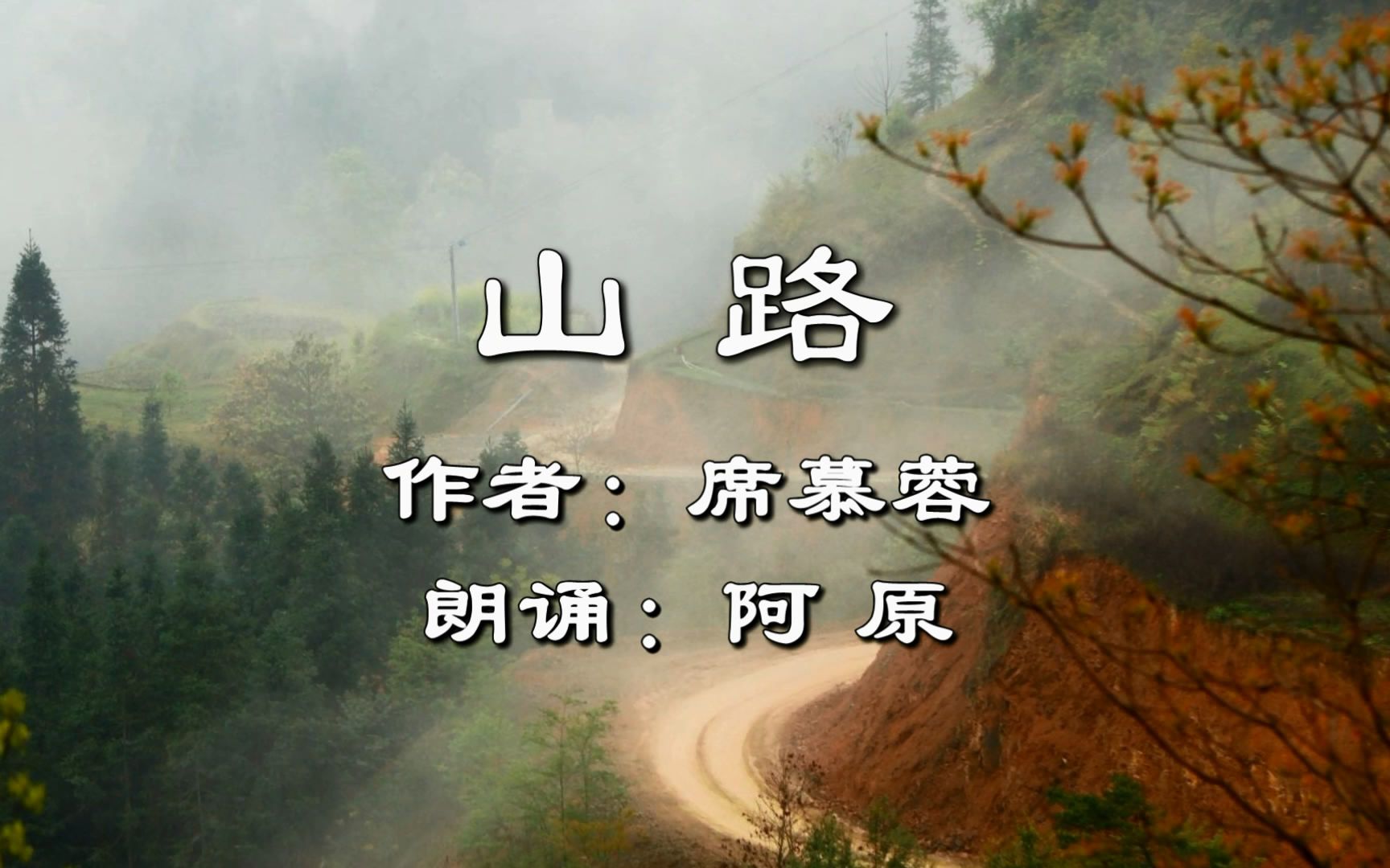 一首诗,一段故事,听席慕蓉的诗《山路》,怀念记忆中的你我