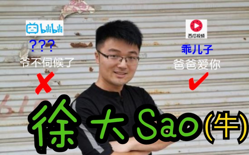 【徐大Sao】评论区区别对待b站和西瓜网友?所以爱是会消失的吗?大sao哥哥?哔哩哔哩bilibili