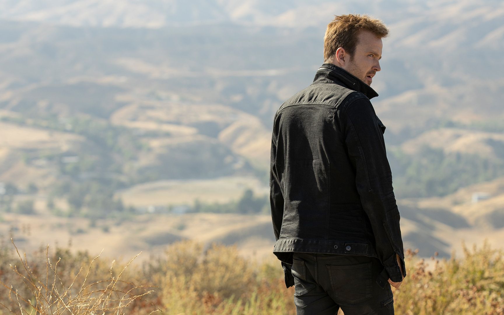 亚伦保尔暗示将回归他的绝命毒师角色