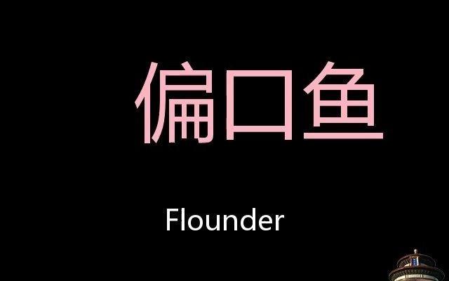 偏口鱼 Chinese Pronunciation Flounder哔哩哔哩bilibili