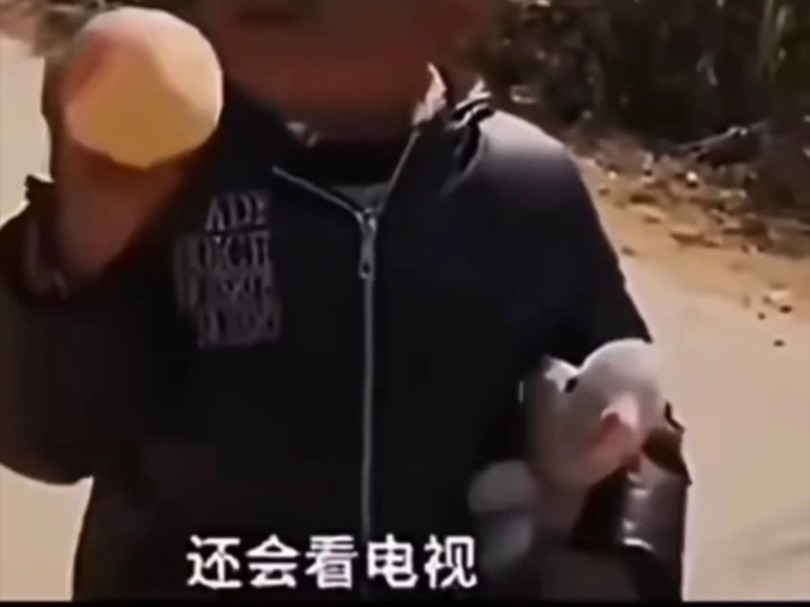 还会看电视