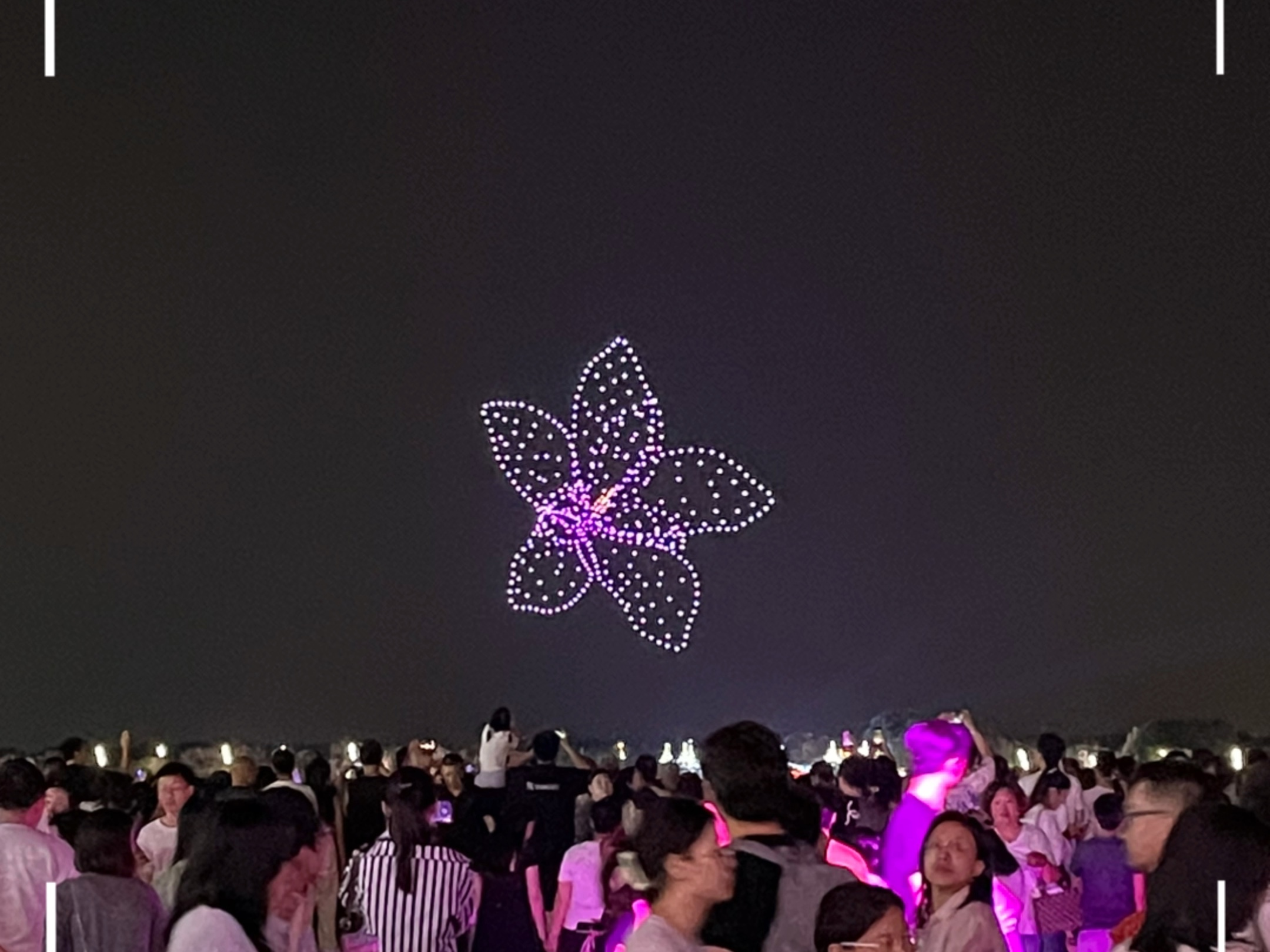 哈尔滨灯光秀之花