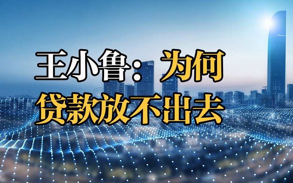 王小鲁:为何贷款放不出去?市场萎缩 正常经营受阻哔哩哔哩bilibili