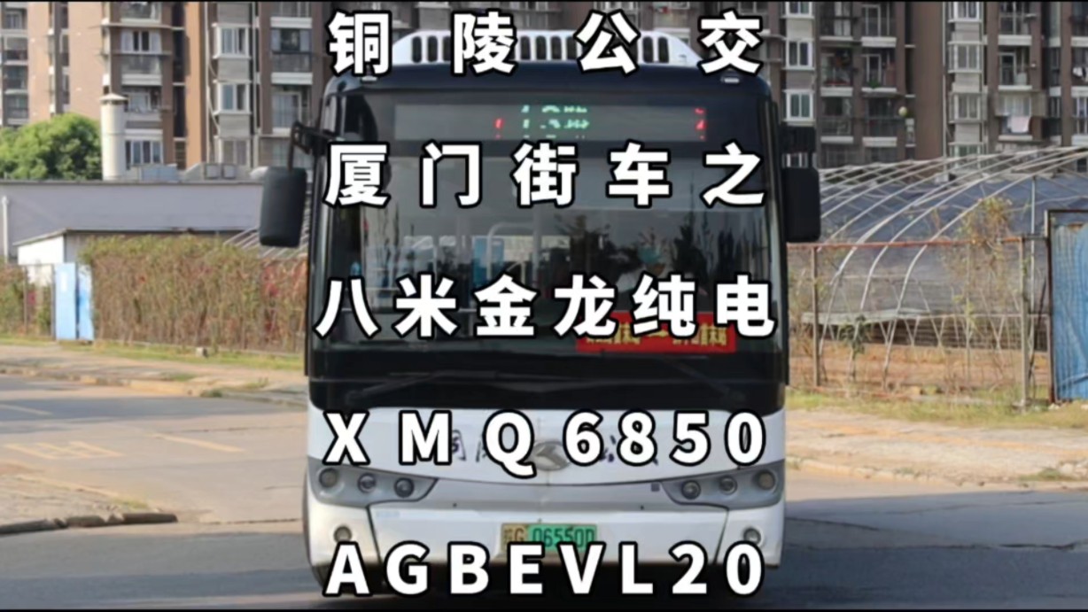 铜陵公交,八米金龙纯电XMQ6850AGBEVL20哔哩哔哩bilibili