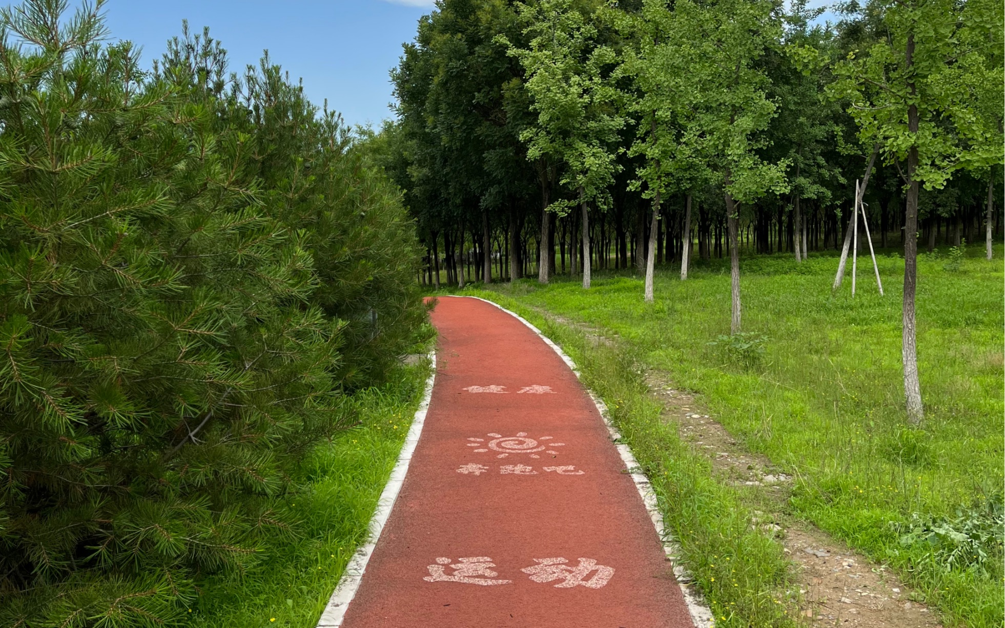【杜比视界测试】公园中的健身步道 | 视频画质升级预览