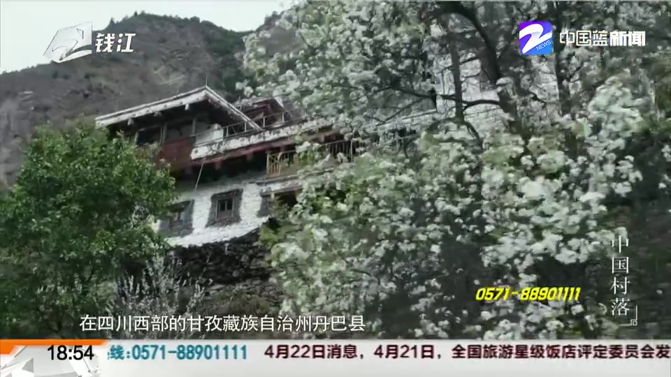 【范大姐帮忙2019】人文纪录片《中国村落》在浙江卫视首播获好评(范大姐帮忙 2019年4月23日)哔哩哔哩bilibili