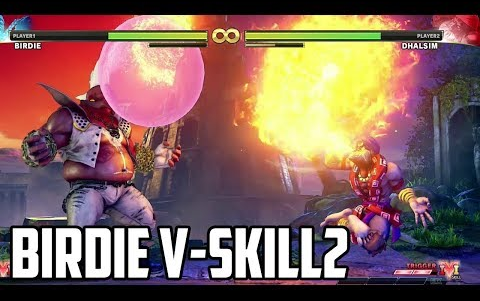 【desk大神】巴迪 vs2 天秀连招 街霸5ce