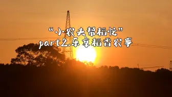 乡村美育线上艺术季第十一期 03：小农夫帮“稻”忙第二天——湖南一禾·箭楼村自然与人文艺术创新教育园
