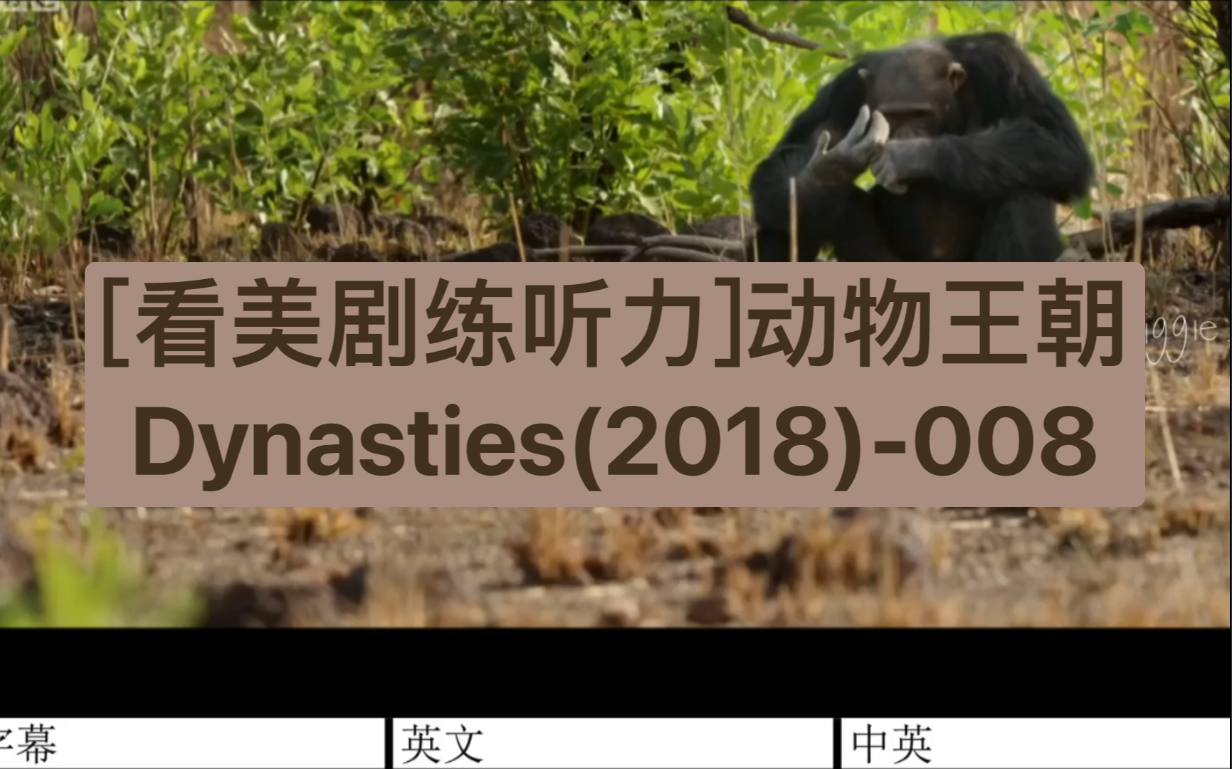 [图][看美剧练听力]动物王朝Dynasties(2018)-008