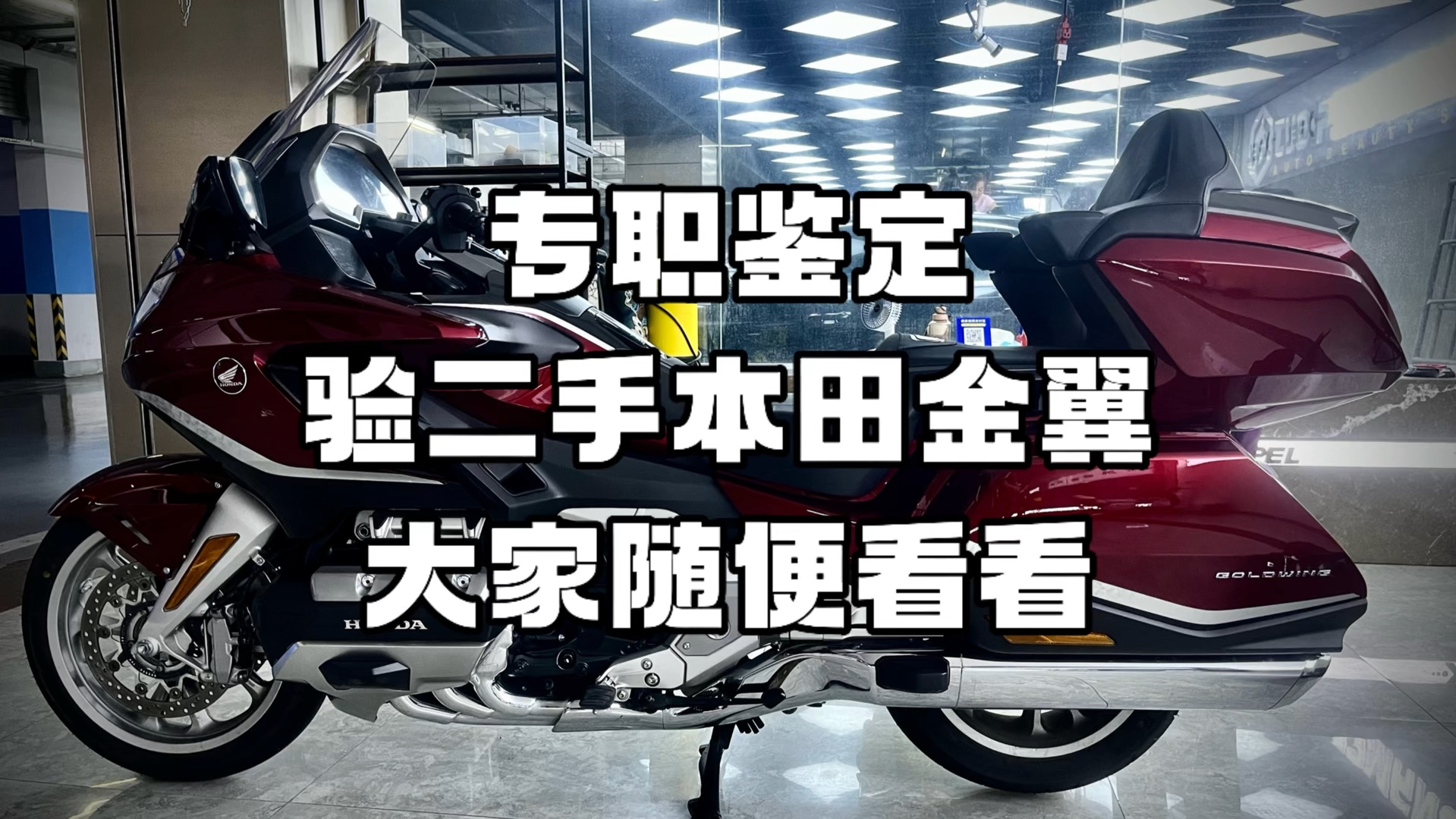 专职鉴定 验二手本田金翼 大家随便看看