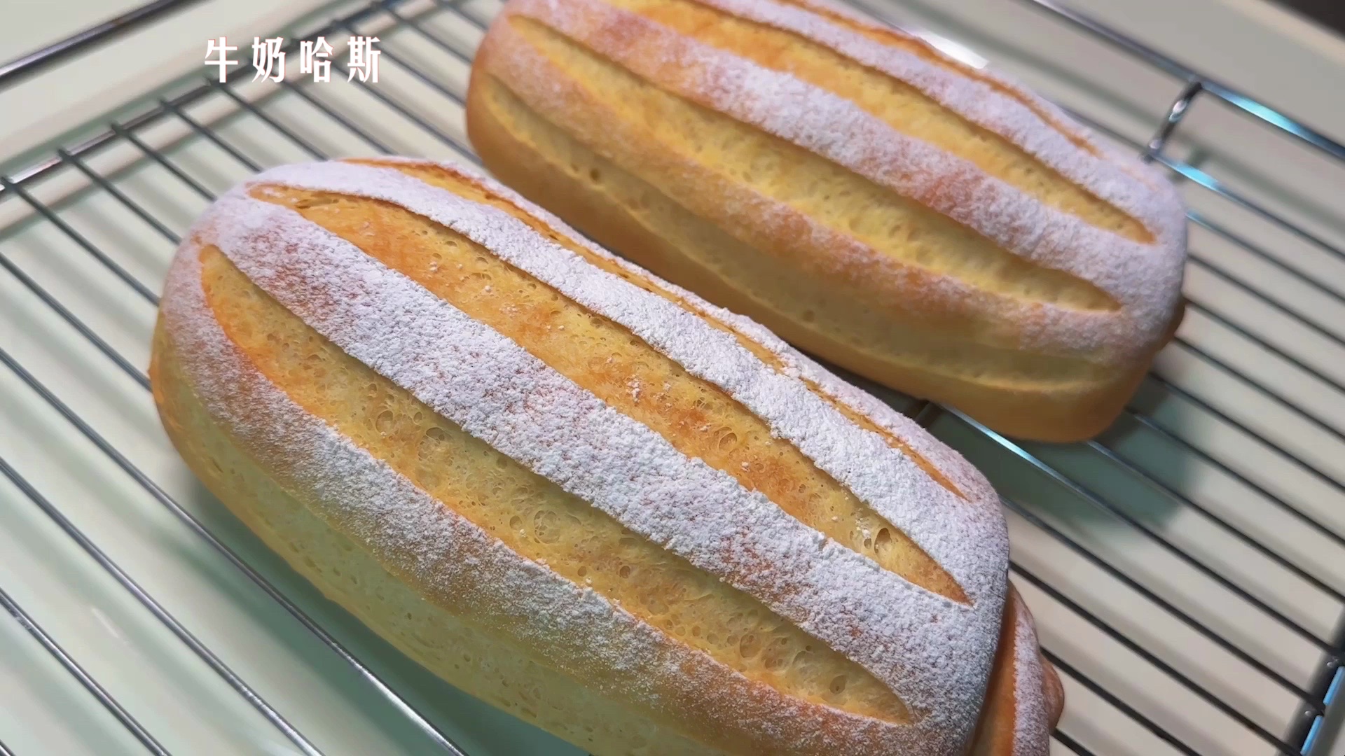 法式软面包「牛奶哈斯」细腻松软,奶香十足!