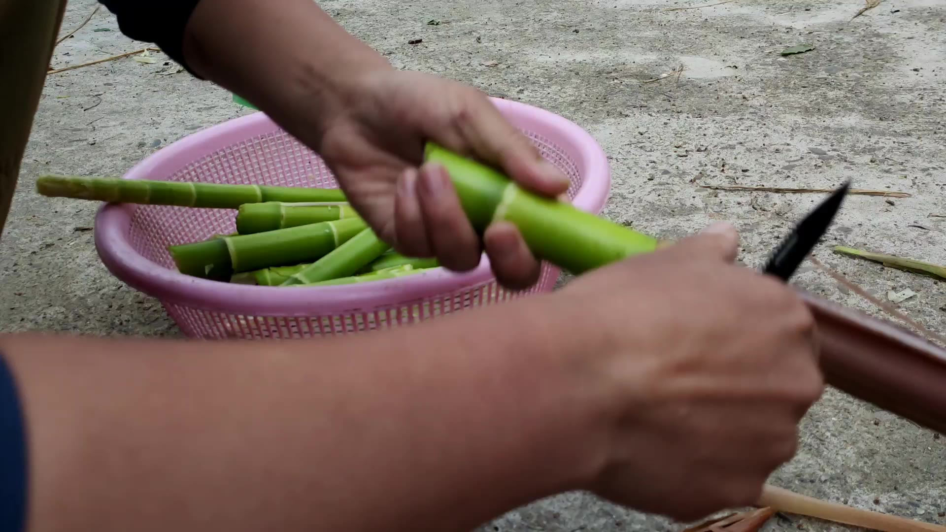零陵六甲河村今天下雨扯点竹笋晒了吃