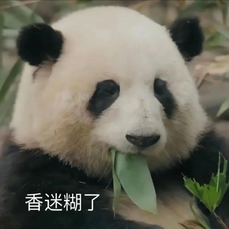 大熊猫花花的表情包