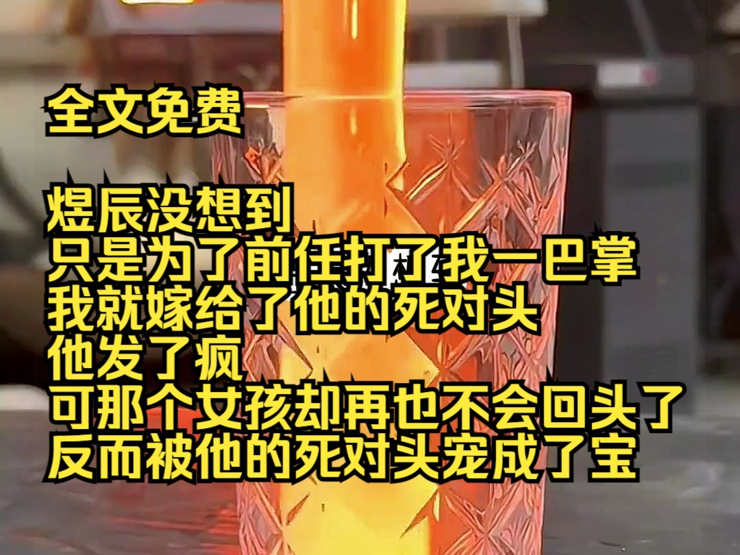 [图]《娇娇借婚》3 煜辰没想到，只是为了前任打了我一巴掌，我就嫁给了他的死对头。他发了疯，可那个女孩却再也不会回头了，反而被他的死对头宠成了宝。