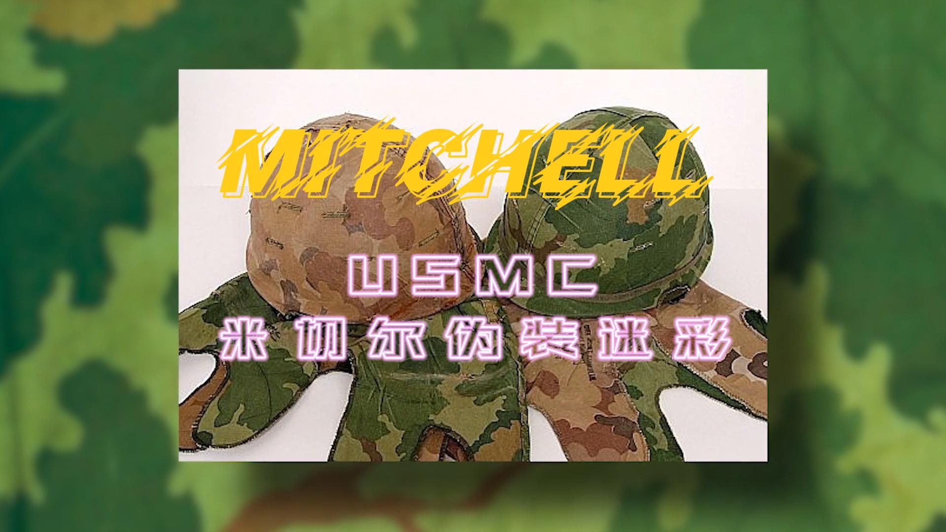 米切尔Mitchell迷彩,USMC最爱的双面迷彩图案?哔哩哔哩bilibili