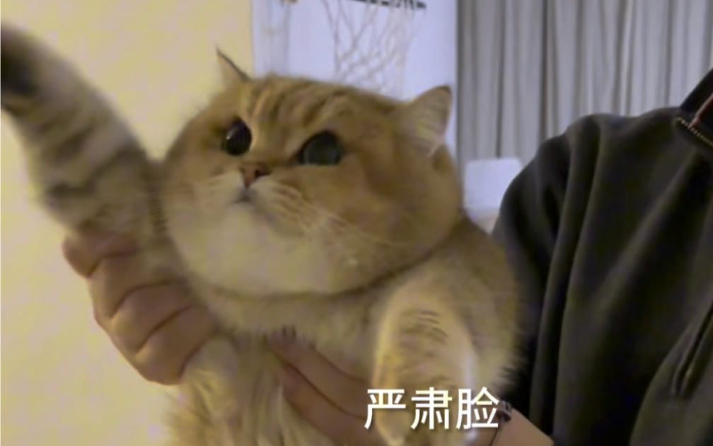 突击检查,现在在干嘛～