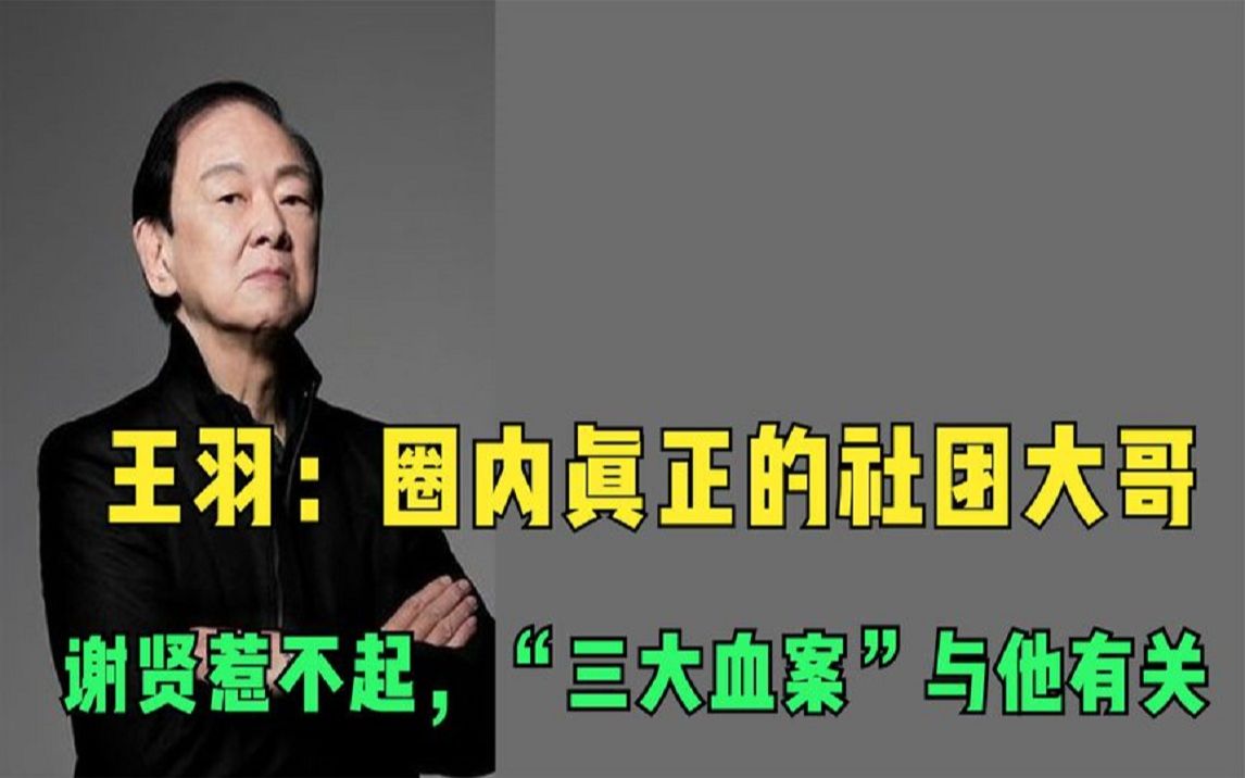 王羽:圈内真正的大哥,让谢贤爬台湾见他,“三大血案”与他有关哔哩哔哩bilibili