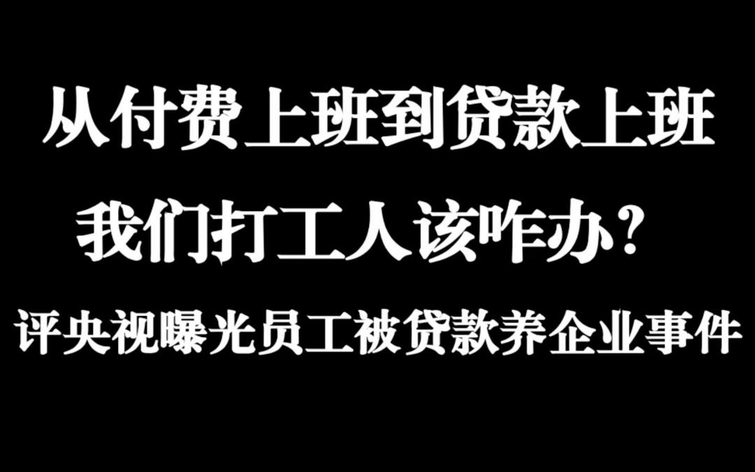 真“贷款上班养公司”啊,我们打工人该咋办?哔哩哔哩bilibili