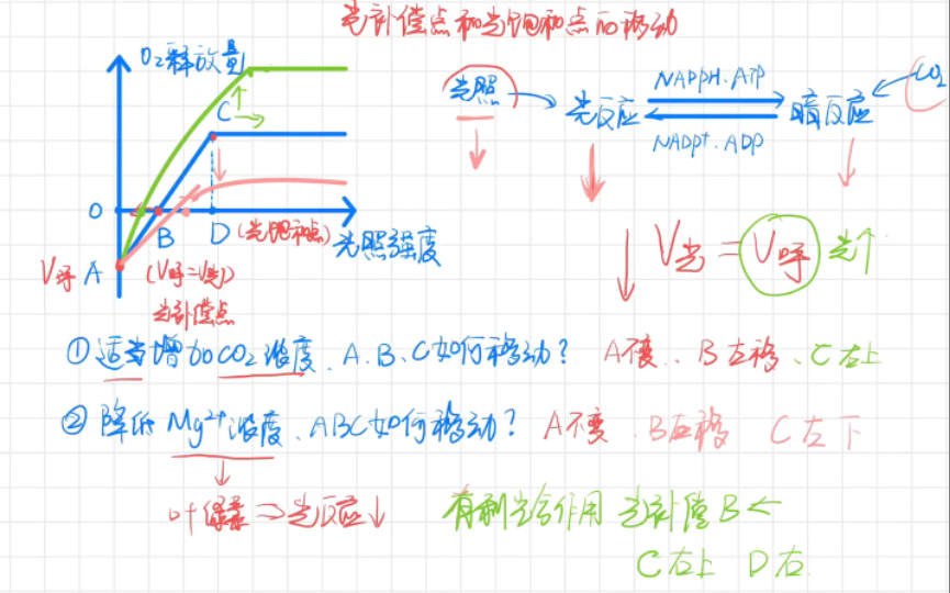 二氧化碳补偿点图解图片