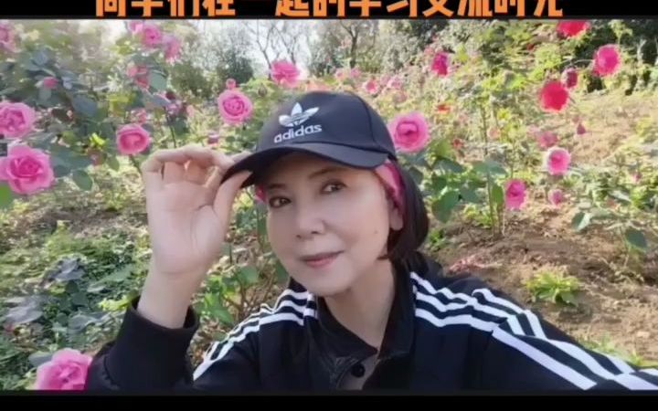 吴芳重庆50岁送别哔哩哔哩bilibili