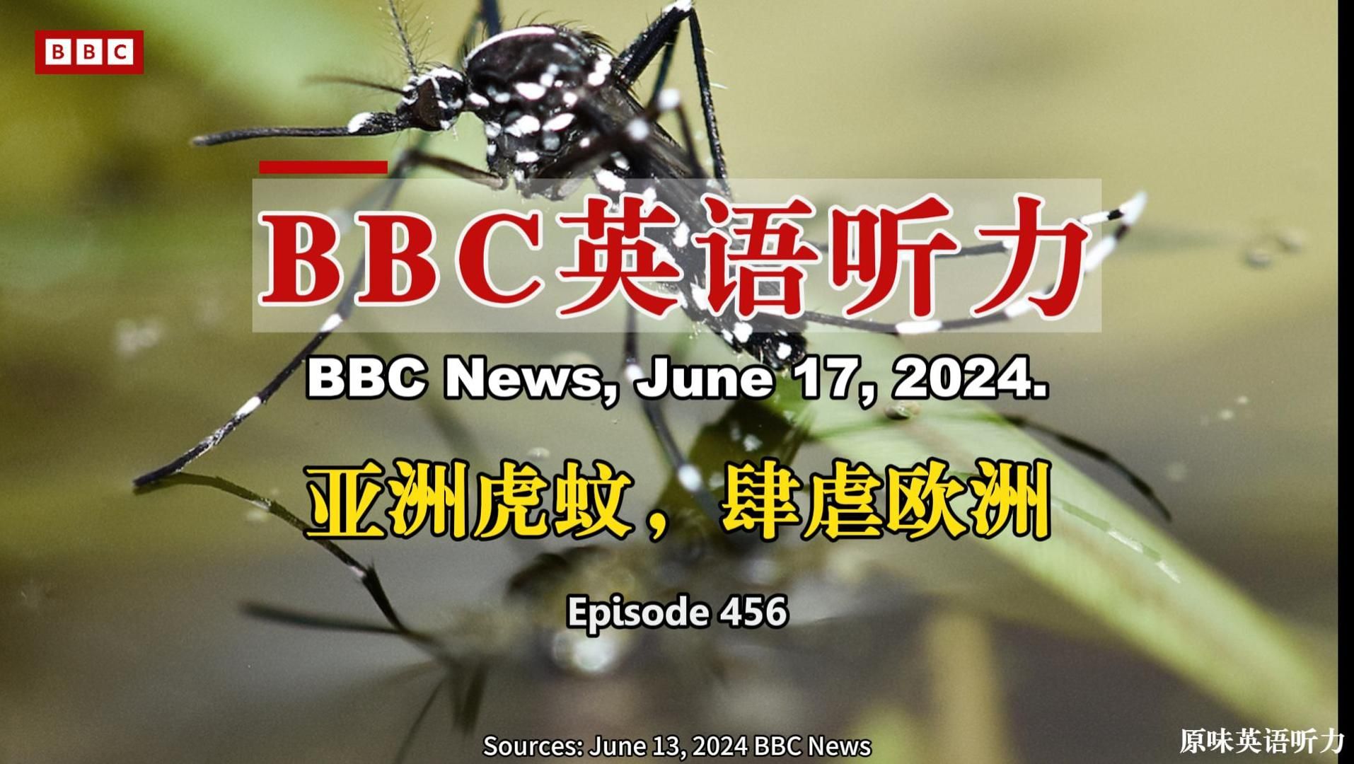 BBC英语听力丨亚洲虎蚊,肆虐欧洲(第456期)哔哩哔哩bilibili