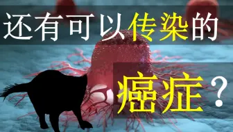 还有可以传染的癌症？塔斯马尼亚恶魔的命运沉浮