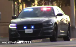 Скачать видео: 【LAPD】洛杉矶警察局 无标记道奇战马警车Code3出警街拍