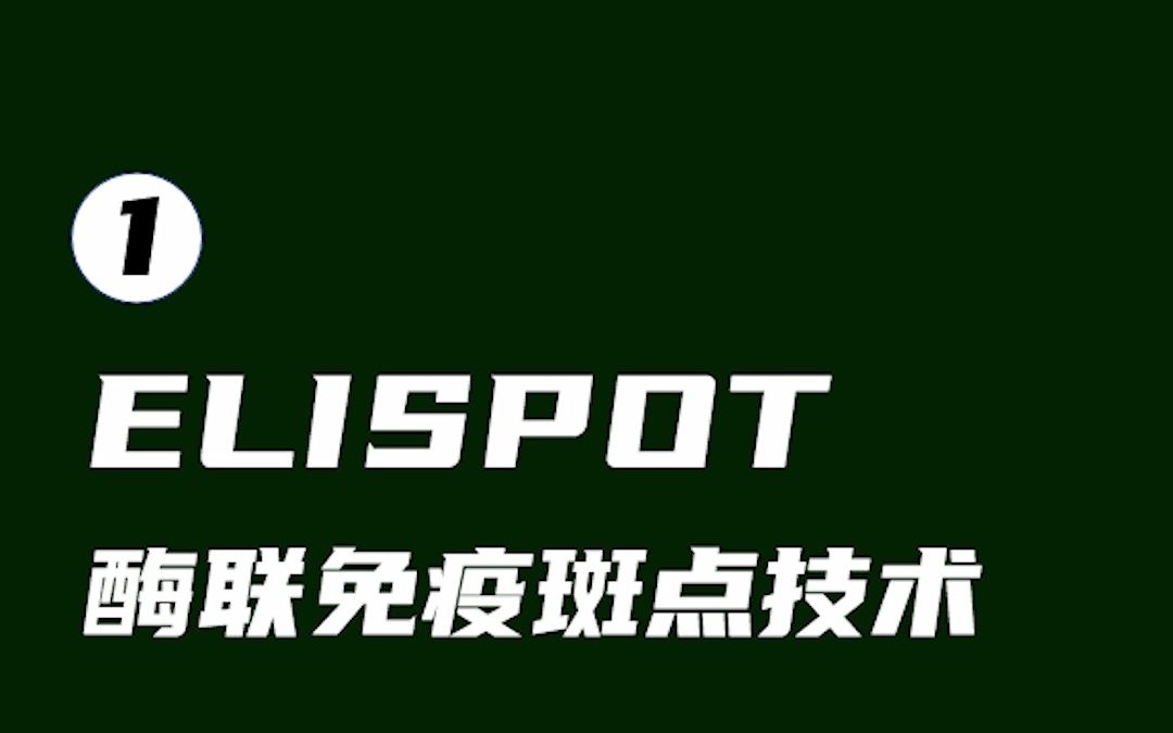 酶联免疫斑点技术(ELISPOT)的原理是什么?哔哩哔哩bilibili