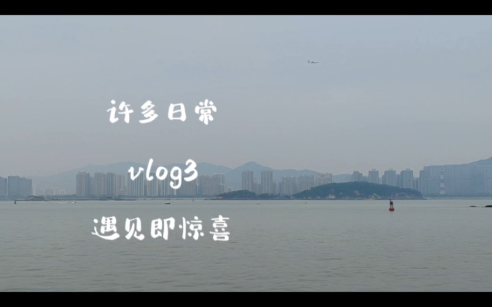 [图]【日常vlog3】等雨停