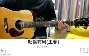 2022最好听的歌曲-王菲《归途有风》原版吉他编配，演唱：九九， 演奏：王一