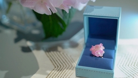 通草花 小菊制作 前期 记录 哔哩哔哩 つロ干杯 Bilibili