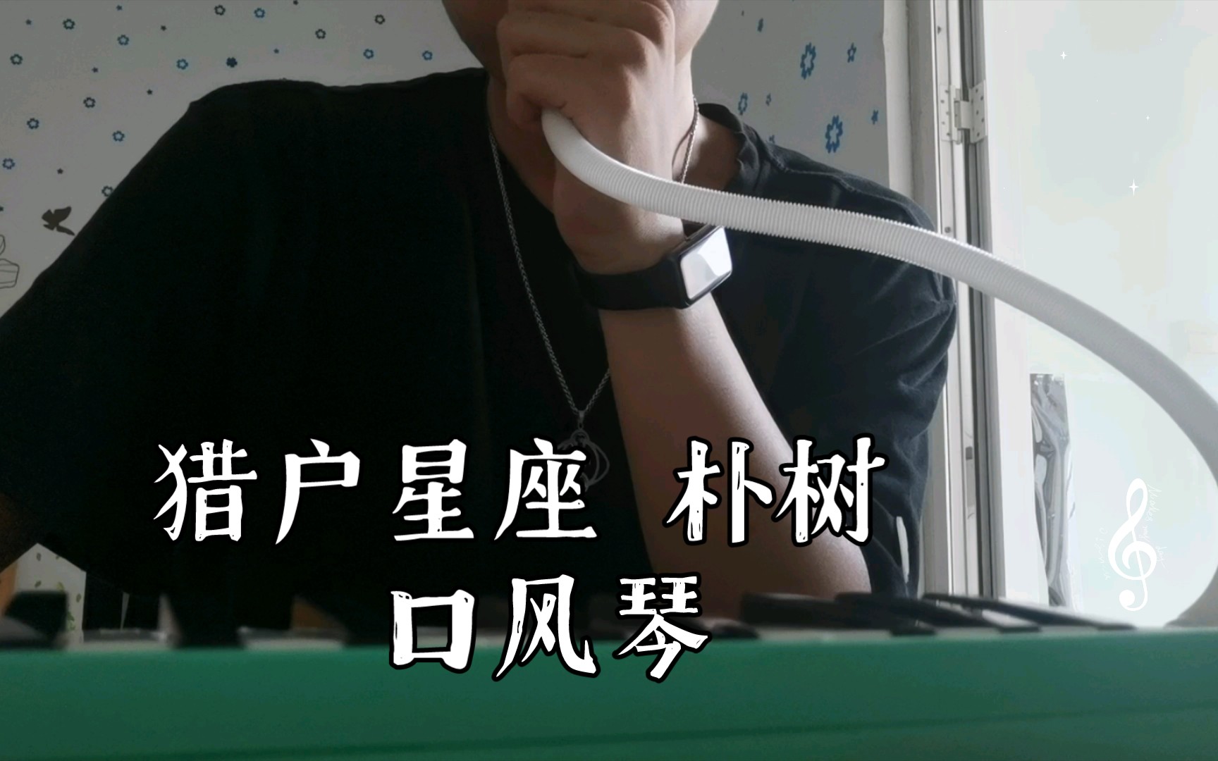 猎户星座 朴树 口风琴