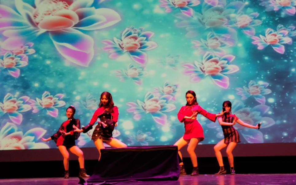 七朵组合2019深圳演唱会落花情