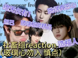 Download Video: 【路人reaction5】徐明浩就是完美的代名词！锐评多慎人小心点点，小心破防，恶心的人真的恶心，玻璃心勿入真的骂得太多了，嘴毒到可怕 ！别骂我