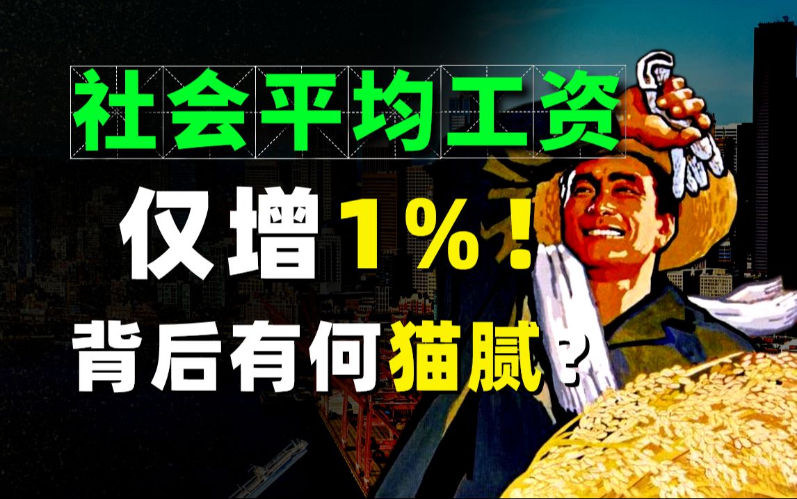 社会平均工资仅增1%!背后有何猫腻?揭秘打工人必知的工资真相!哔哩哔哩bilibili