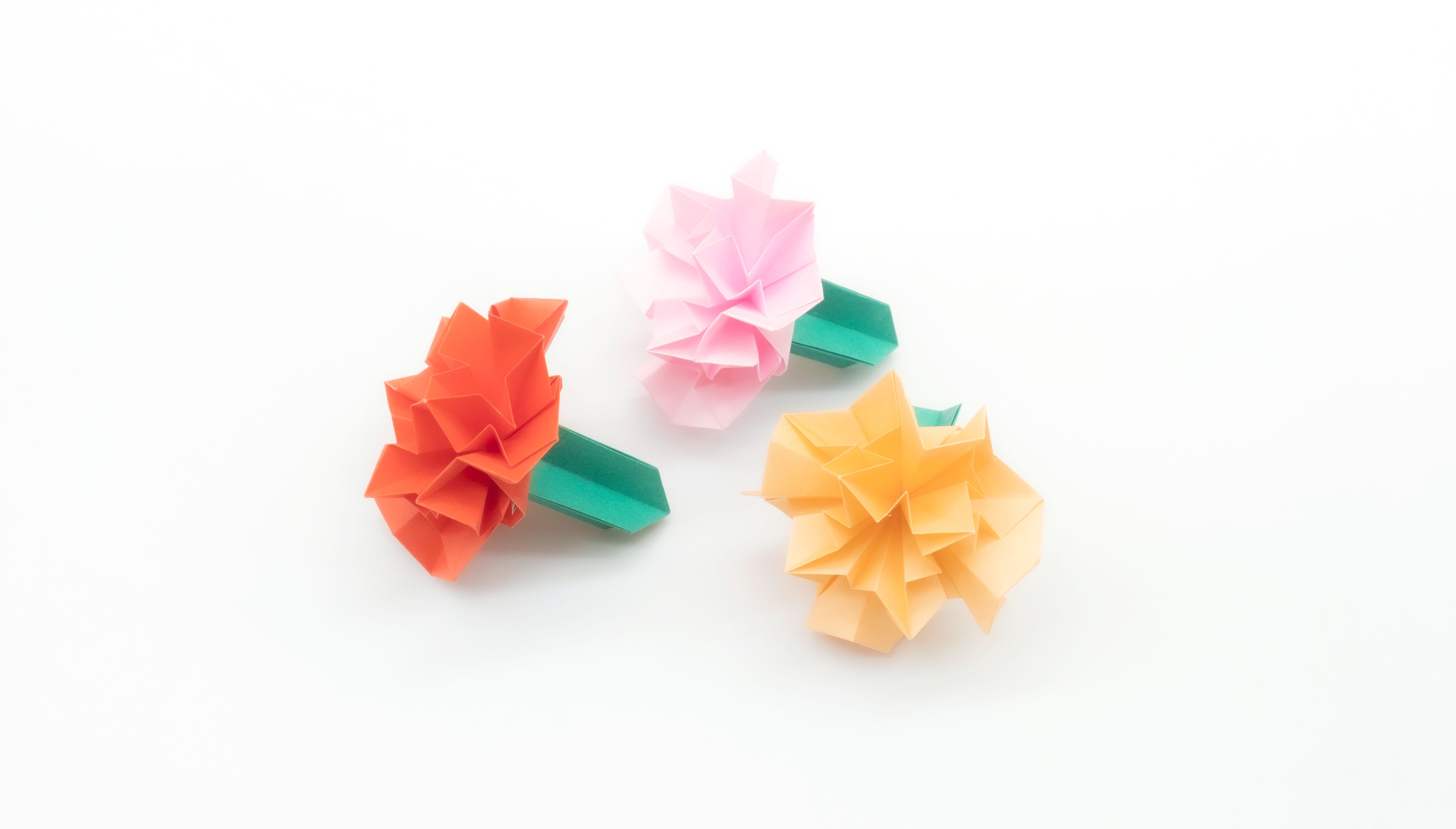 4步简易折纸花康乃馨图片