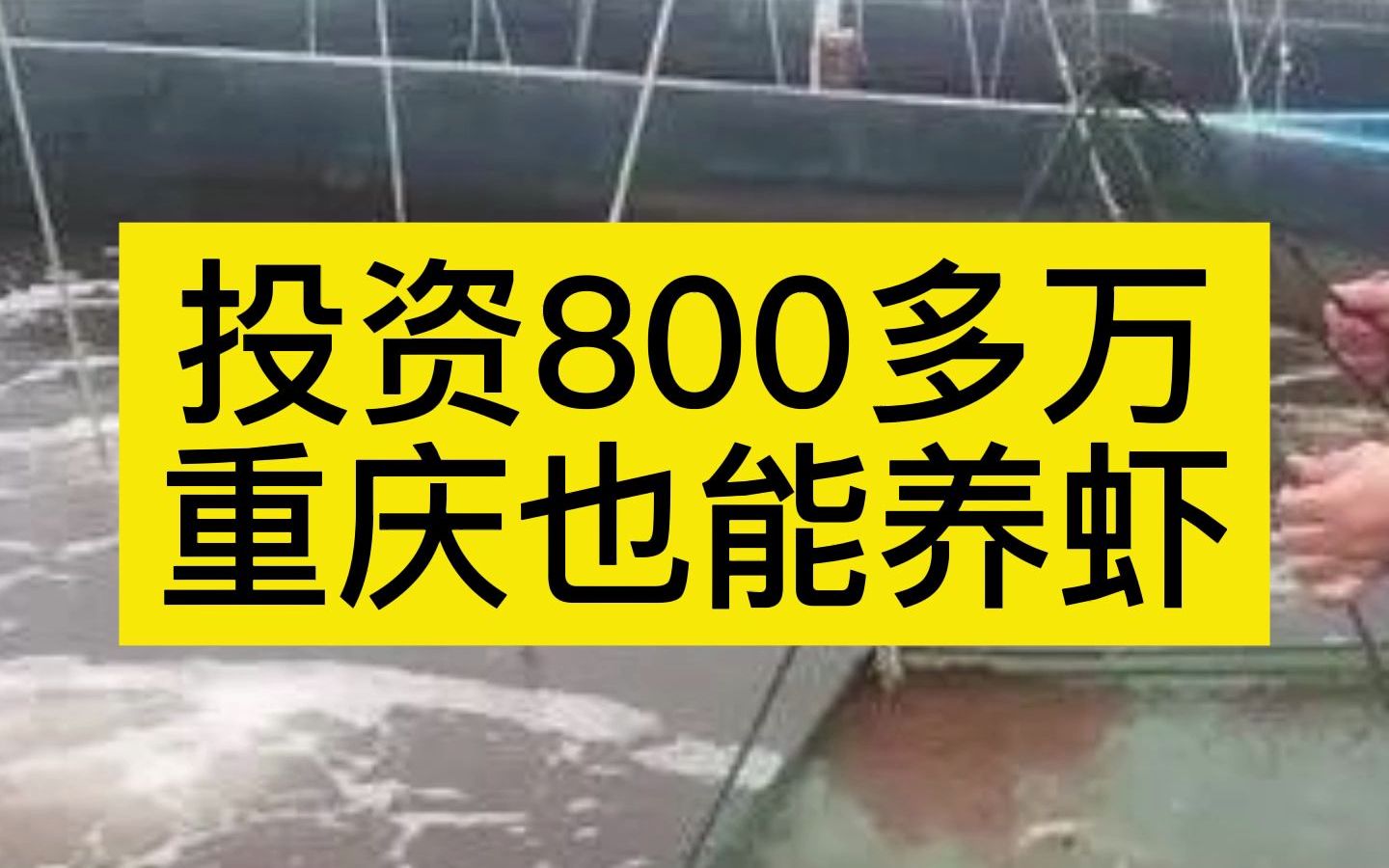 投资800多万!重庆市一家养虾场,采用三段养虾模式,对虾产量非常高!哔哩哔哩bilibili