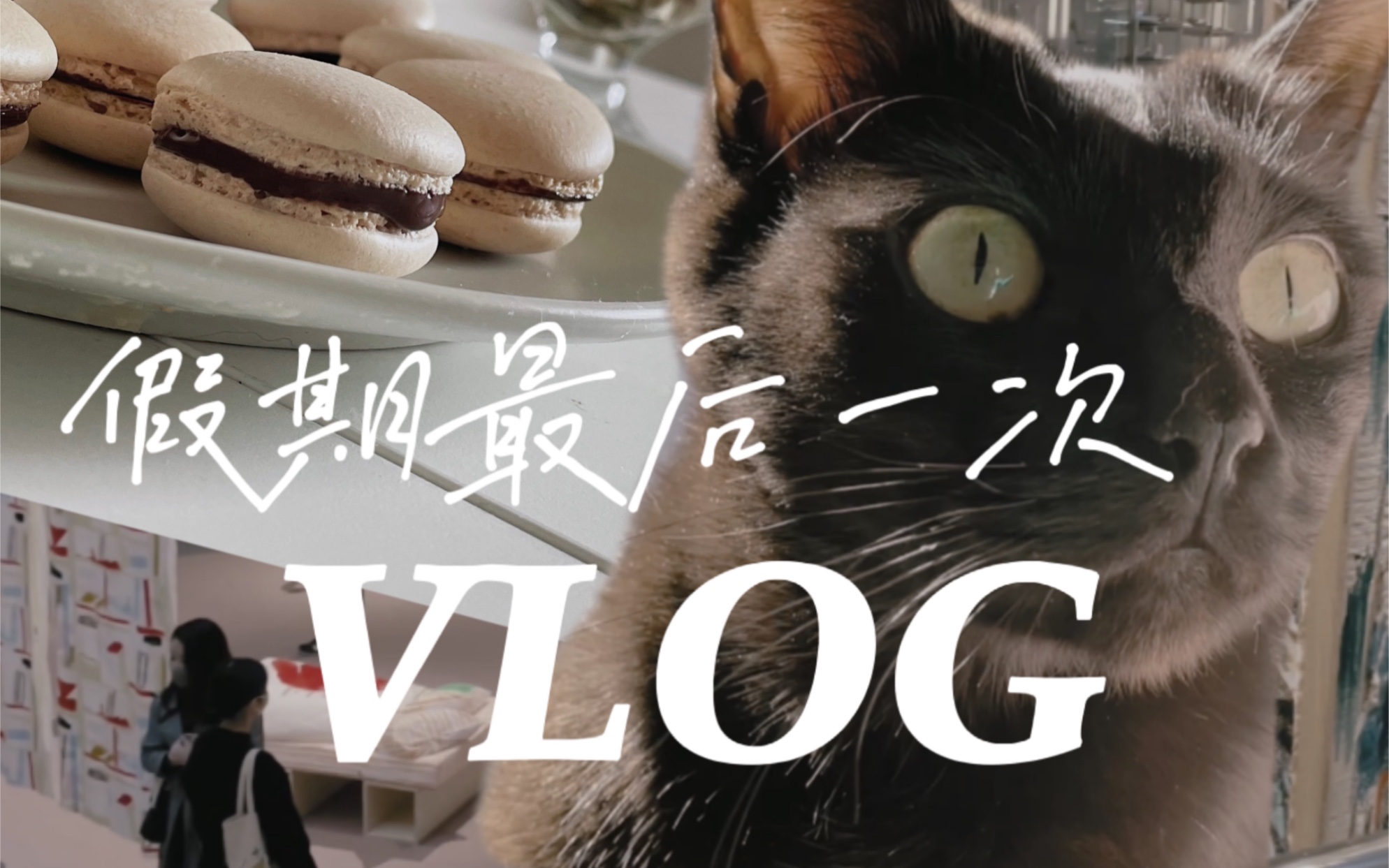 「开学前的VLOG」看毕业展 早日成为甜品大师 在家撸猫 日本留学生活哔哩哔哩bilibili