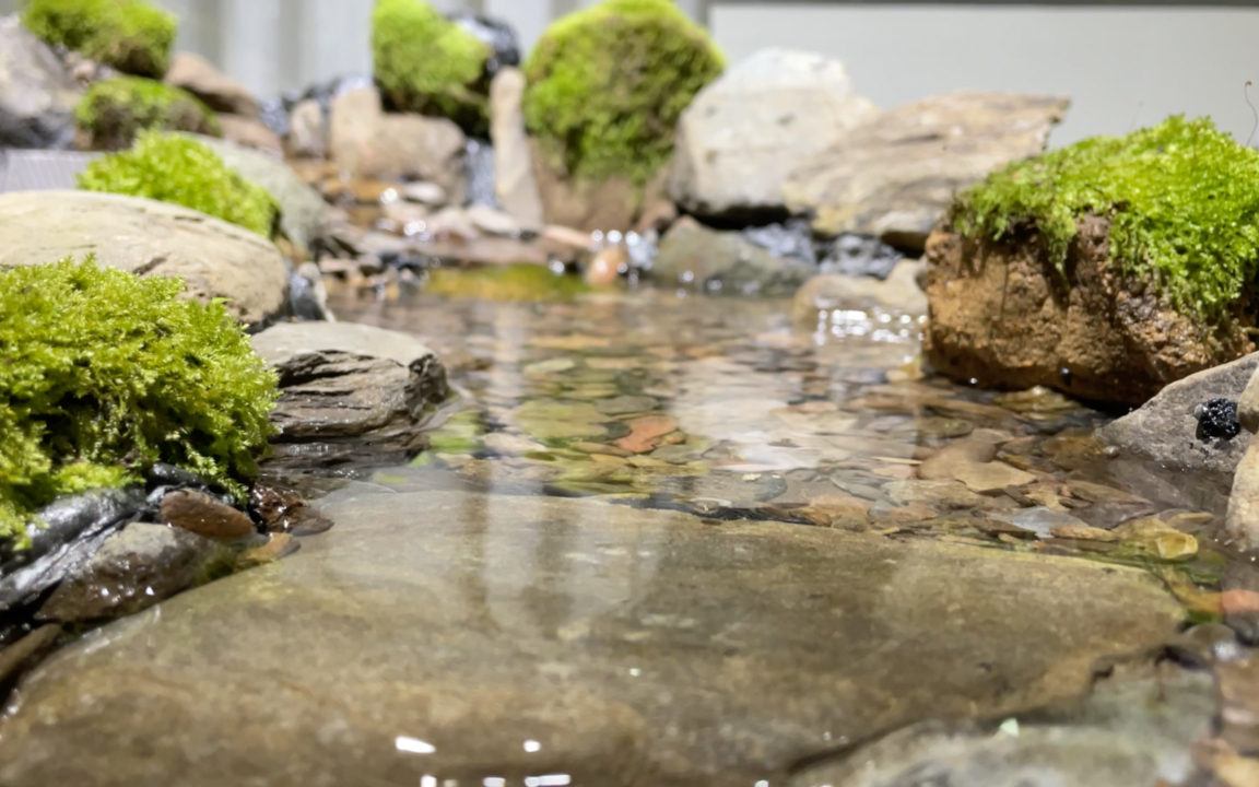 水陆缸造景教程 溪流图片