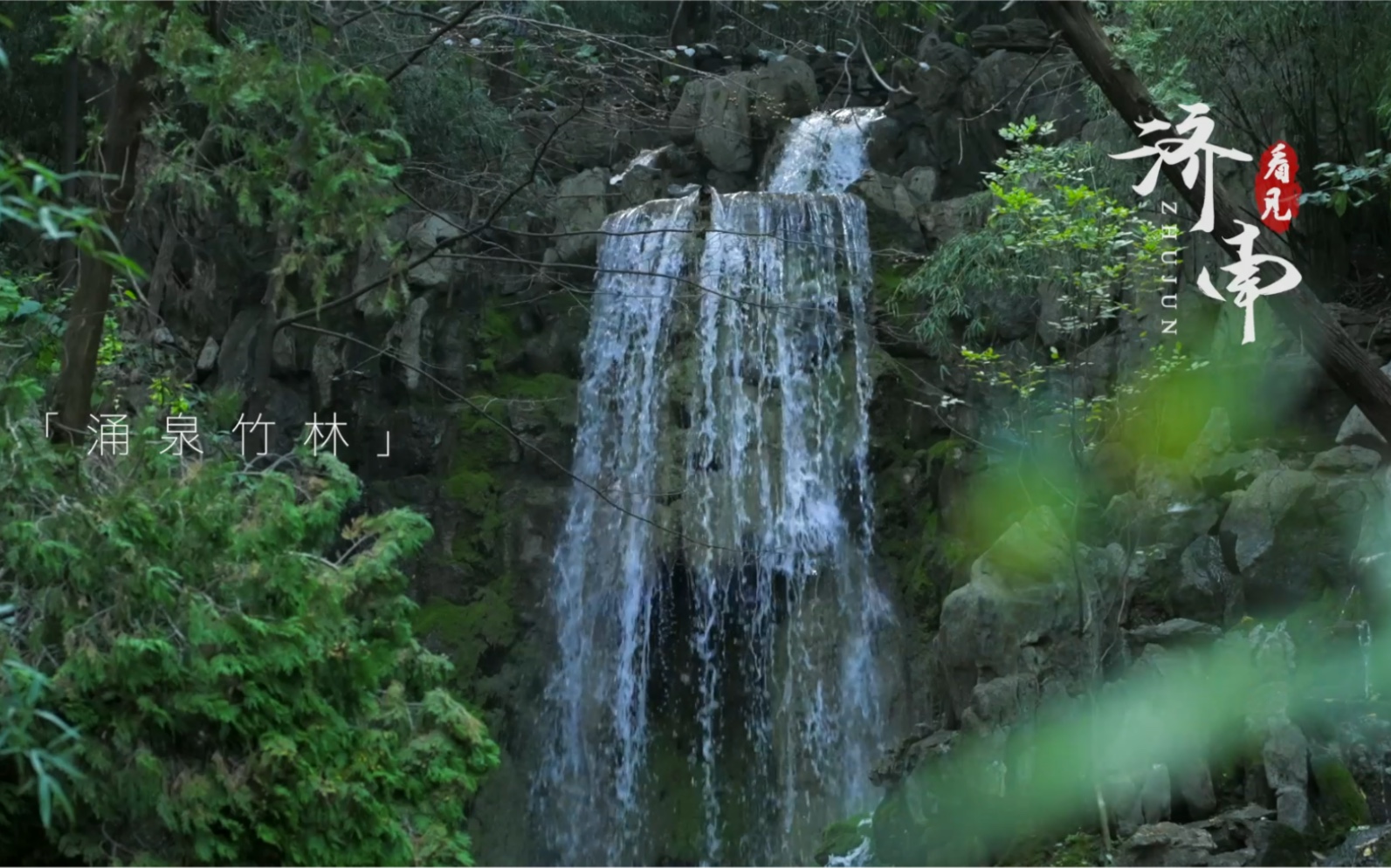 滴水之恩,当“涌泉”相报——济南柳埠涌泉竹林.哔哩哔哩bilibili